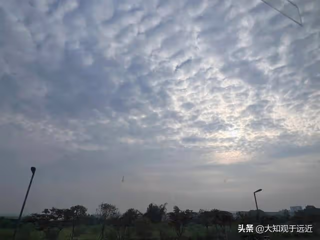 小S、具俊曄,加速了大S和汪小菲的分崩離析?