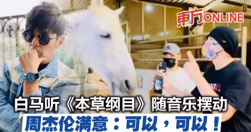白馬聽《本草綱目》隨音樂擺動　周杰倫興奮：我有面子！
