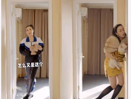 51歲鍾麗緹換裝險跌倒!給狗狗戴黃金項鍊,穿緊身包臀裙凹凸有致