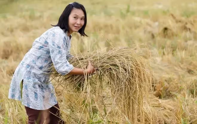 守寡照顧癱瘓婆婆6年,母親罵我蠢,婆婆走後的遺囑讓我淚流滿面