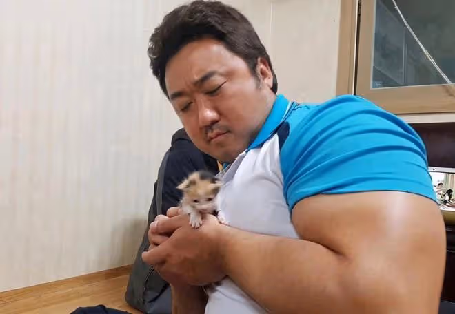手臂比頭大的肌肉男賣萌!馬東錫《犯罪都市2》韓國票房力壓《侏羅紀世界3》