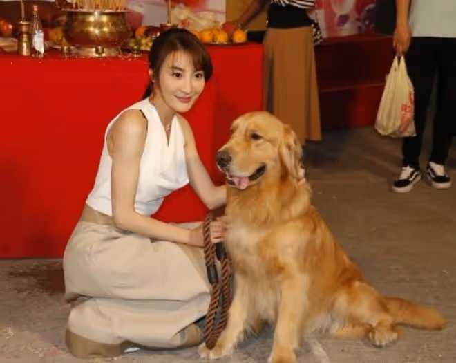 TVB培養26歲男星成一哥?連續主演5部新劇,被贊有周星馳的影子