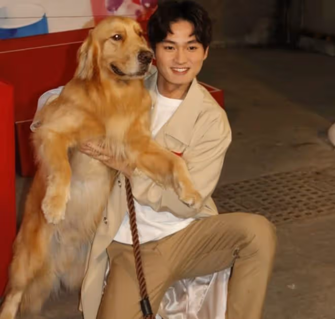 TVB培養26歲男星成一哥?連續主演5部新劇,被贊有周星馳的影子