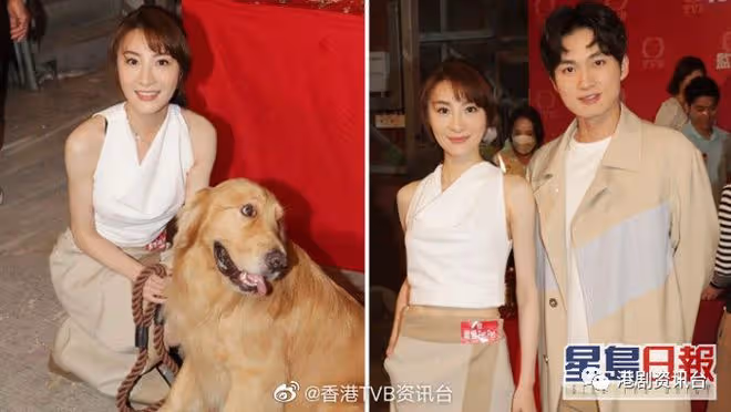 林夏薇周嘉洛相差8年姐弟戀!半年拍3部劇做連莊視後?