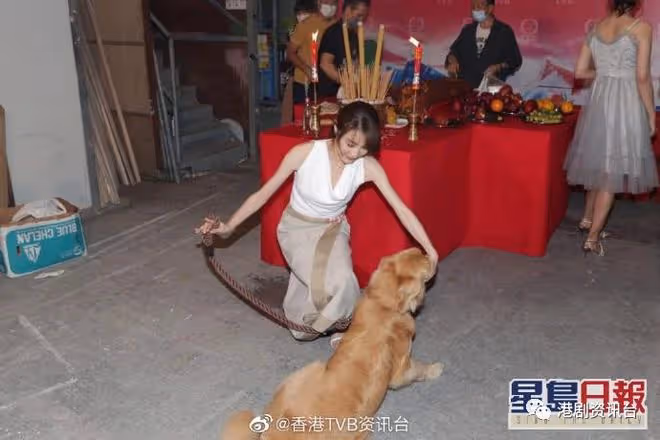 林夏薇周嘉洛相差8年姐弟戀!半年拍3部劇做連莊視後?
