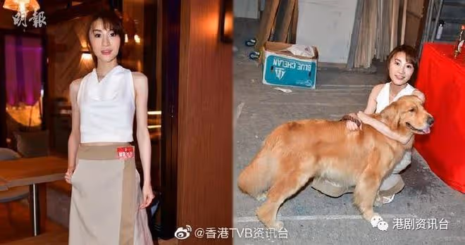 林夏薇周嘉洛相差8年姐弟戀!半年拍3部劇做連莊視後?