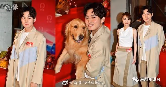 26歲TVB力捧小生五劇再手!與34歲新晉視後譜寫戀曲