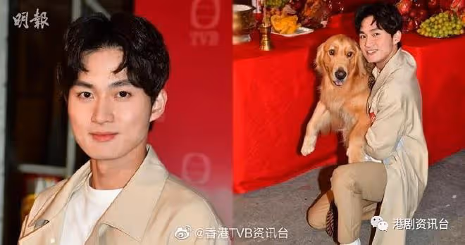 26歲TVB力捧小生五劇再手!與34歲新晉視後譜寫戀曲