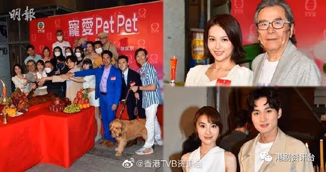 26歲TVB力捧小生五劇再手!與34歲新晉視後譜寫戀曲