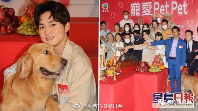 26歲TVB力捧小生五劇再手!與34歲新晉視後譜寫戀曲