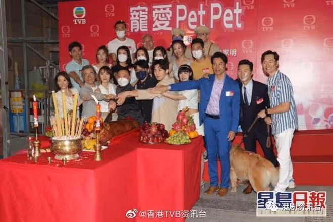 26歲TVB力捧小生五劇再手!與34歲新晉視後譜寫戀曲
