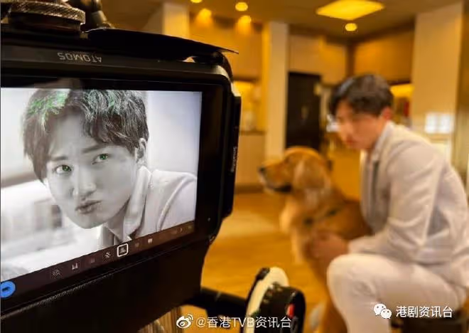 26歲TVB力捧小生五劇再手!與34歲新晉視後譜寫戀曲