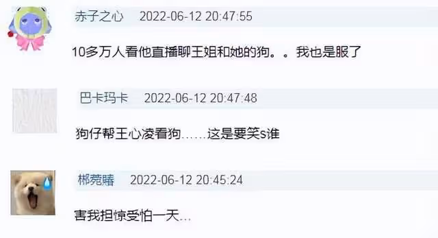 台灣第一狗仔直播曝王心凌料:讓狗仔當保姆看狗?網友卻一邊倒