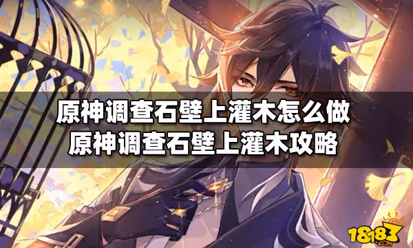 原神調查石壁上灌木怎麼做 原神調查石壁上灌木攻略