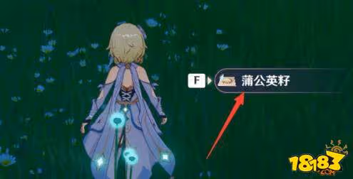 原神蒲公英籽在哪 原神蒲公英籽位置介紹