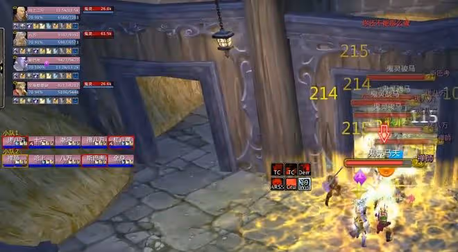 魔獸TBC:10名聖騎士挑戰KLZ,起手先開10個無敵,BOSS直接懵圈了