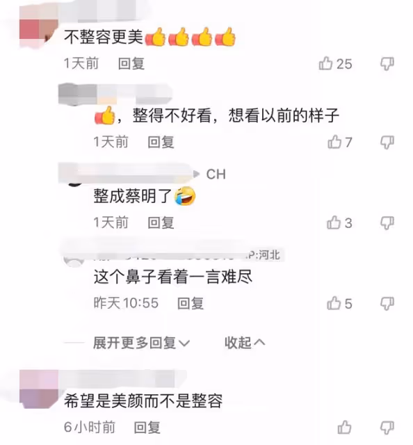 49歲牛莉陷整容風波,鼻子變樣遭調侃撞臉蔡琴,網友直呼認不出來