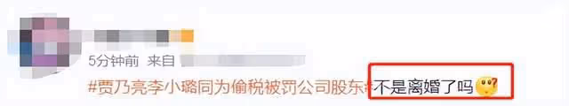 賈乃亮公司被曝偷逃稅,李小璐為股東占比4%,離婚後事業仍牽連