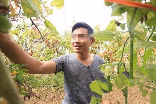 2個女兒,大姐俊俏,小妹是個丑姑娘,母親老了,卻是丑姑娘孝順