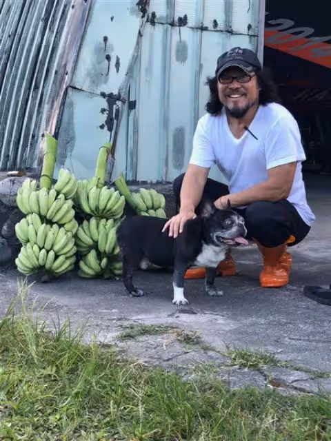 張菲曝費玉清「退休後的生活清幽」身形維持完美 戶籍遷花蓮「好山好水種芭蕉」享受放慢人生