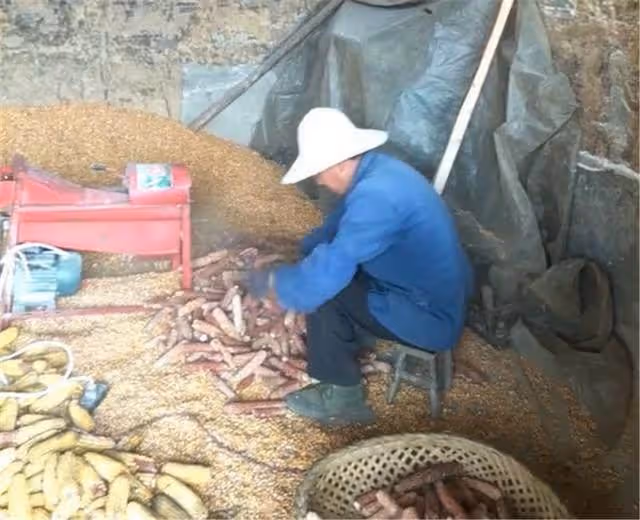 妹妹找城裡哥哥借錢,嫂子不借,只給了件舊棉衣,誰想裡面有5萬