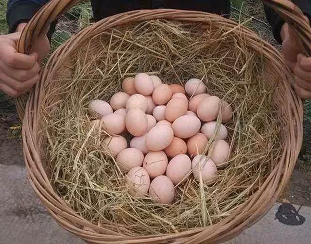 妻子給娘家買2千禮物,卻給我母親一筐雞蛋,我要離婚,她傻了眼