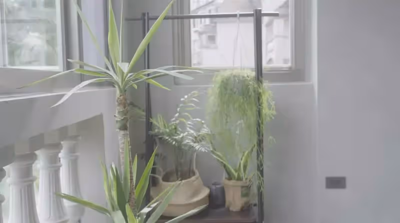 女星袁艾菲和老公隱居深山!斥巨資把傳統老屋變「毛坯豪宅」全屋沒有一絲雜物,置身山林仙境