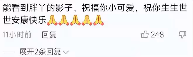 楊樹林老婆胖丫被曝生二胎,抱嬰兒母愛滿滿,出獄後靠賣水果維生