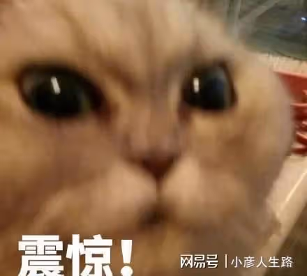 《青春有你》第二季選手,談九個月沒工作,評論為何翻車?