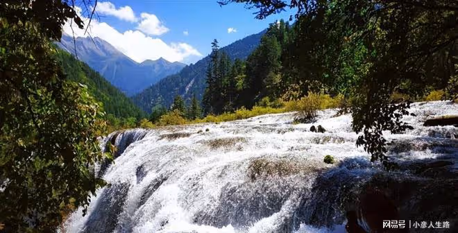這些劇組好缺德:損害國家稀有植物、破壞國家5A景區,膽真大