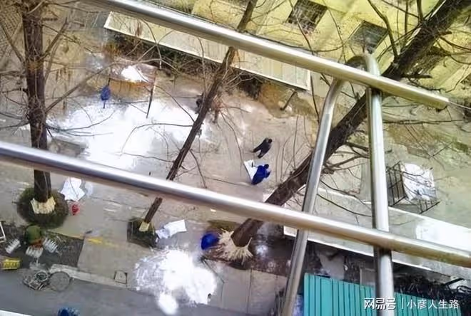 這些劇組好缺德:損害國家稀有植物、破壞國家5A景區,膽真大