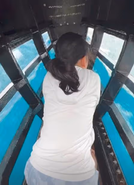 林熙蕾攜全家度假顏值逆齡,與富豪老公如隔代,倆女兒似媽顏值高