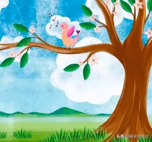 婆婆:她既然現在懷孕了，彩禮錢等結婚後再給！女孩:這婚我不結了