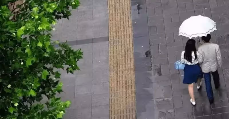 丈夫住院讓妻子陪床，妻子：你姐不才是那個重要的人嗎？找她去