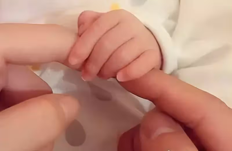香港四大天王有望重聚!全員生女,劉德華女兒吃素張學友難管早戀