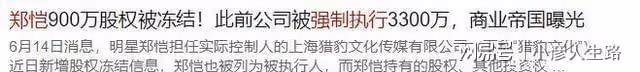 賈乃亮李小璐合夥公司偷逃稅被罰，兩人分別持股4%，涉事公司致歉