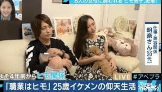 25歲小哥同時被15位美女養著，靠吃軟飯月入6.6萬，網友：酸了