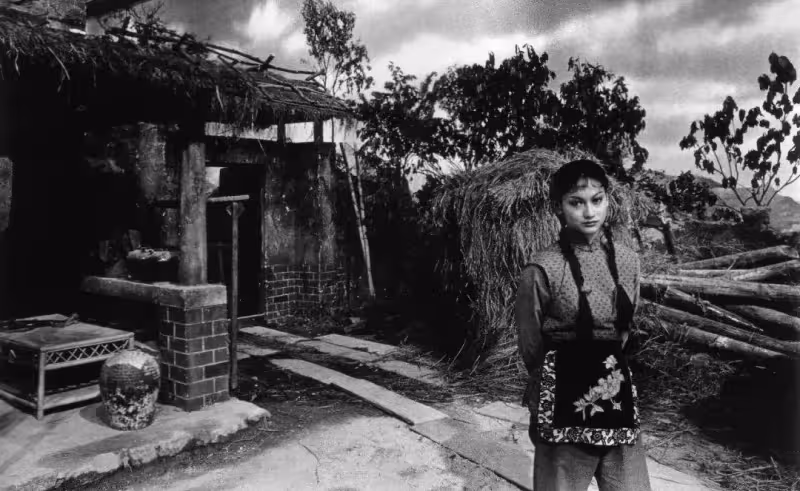 40年前她隨手拍下的俊男靚女,現如今成了「明星大咖」,卸妝的林青霞,游泳的王祖賢