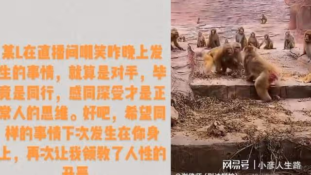 二審倒計時，李聖險些露宿街頭，姚爸發脾氣，杜方謝律發文嘲諷