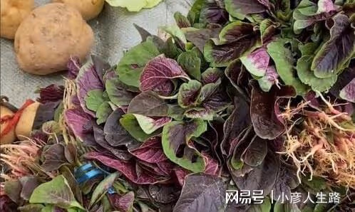 男演員徐海為現身小縣城,無戲可拍只能擺攤賣菜,如今已經37歲了