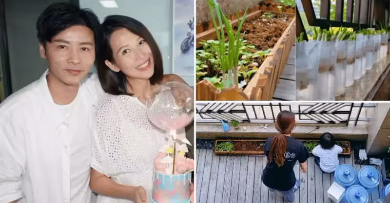 張晉曬蔡少芬在家種菜，上海豪宅意外被曝光，涼臺比別人客廳要大