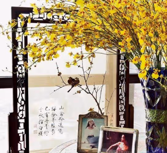 劉嘉玲被曝將出售上海復式豪宅!市價1.8億,在香港還有10套房,曾送胡軍兒子別墅