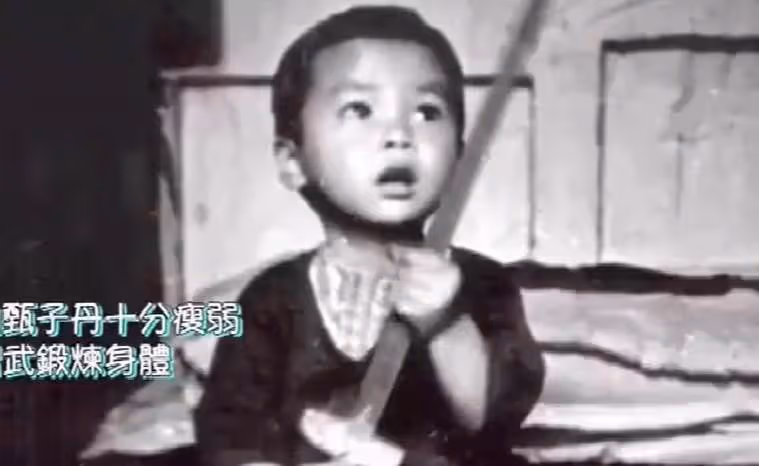 甄子丹趙文卓互撕!甄子丹前妻為兒取名「甄文卓」,是報復還是巧合?難怪甄子丹閉口不談