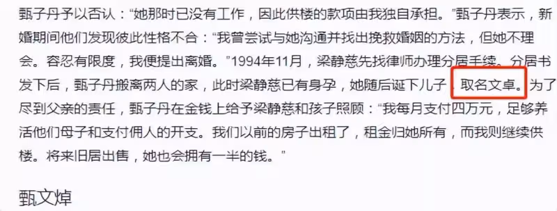 甄子丹趙文卓互撕!甄子丹前妻為兒取名「甄文卓」,是報復還是巧合?難怪甄子丹閉口不談