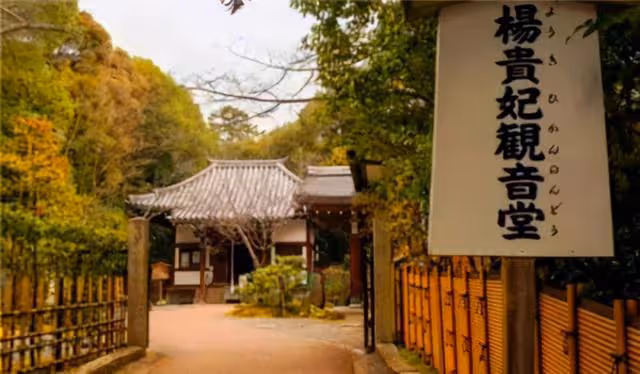 山口百惠自稱楊貴妃後人?美人楊玉環真的沒死去了日本?