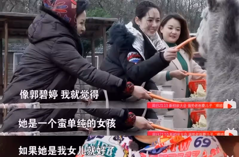 向佐:多次戀愛被向太拒絕,郭碧婷憑什麼嫁入向氏豪門?