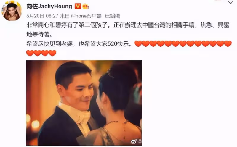向佐:多次戀愛被向太拒絕,郭碧婷憑什麼嫁入向氏豪門?