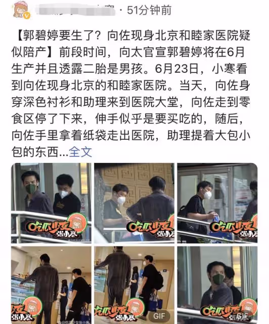 曝郭碧婷二胎將臨盆!向佐匆忙現身北京高檔醫院,分娩費用近10萬