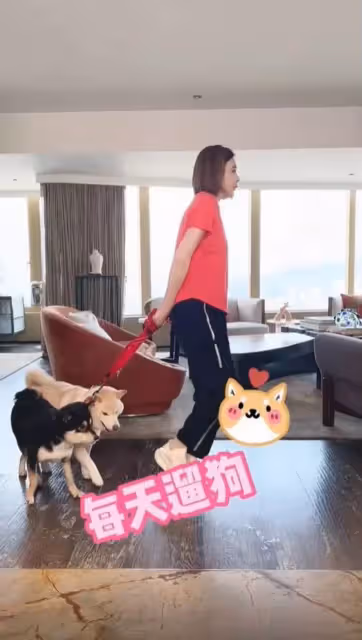 不折不扣富婆!關之琳爽住6億豪宅「客廳就能遛狗」不用出門 一拉開窗簾「俯瞰絕美夜景」宅在家也不無聊