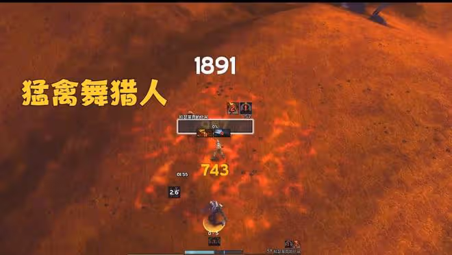 魔獸TBC:WCL獵人全面進入高科技時代,世一獵被起底,傷害靠腳本